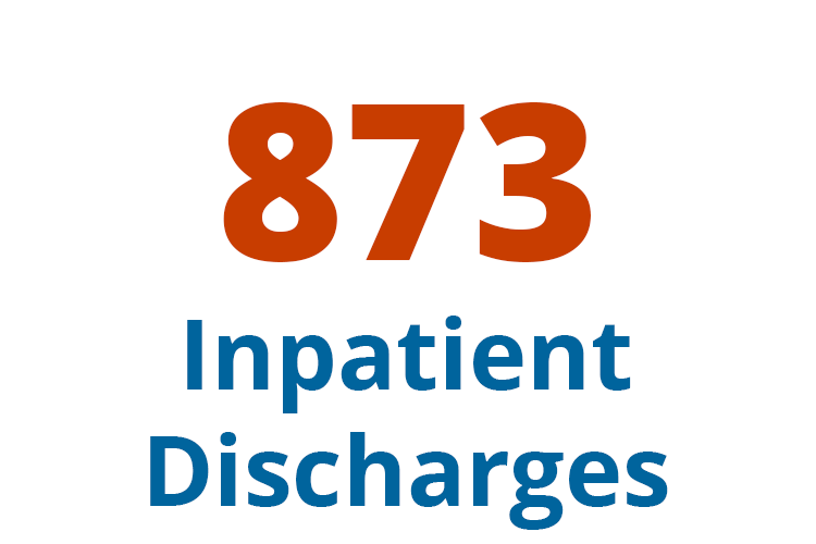 873 inpatient charges